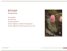 Tablet Screenshot of lichtwelt.net